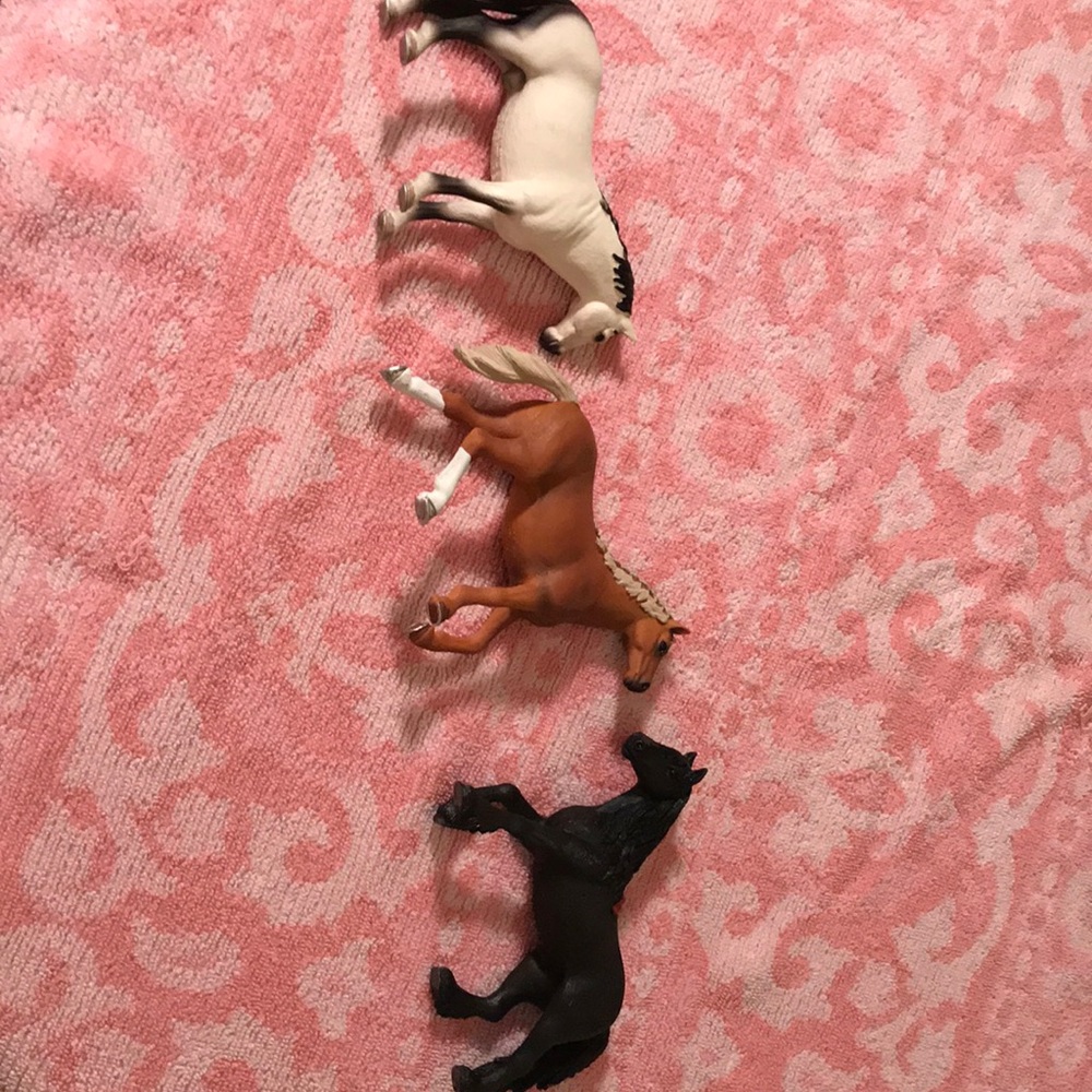 Horse's
